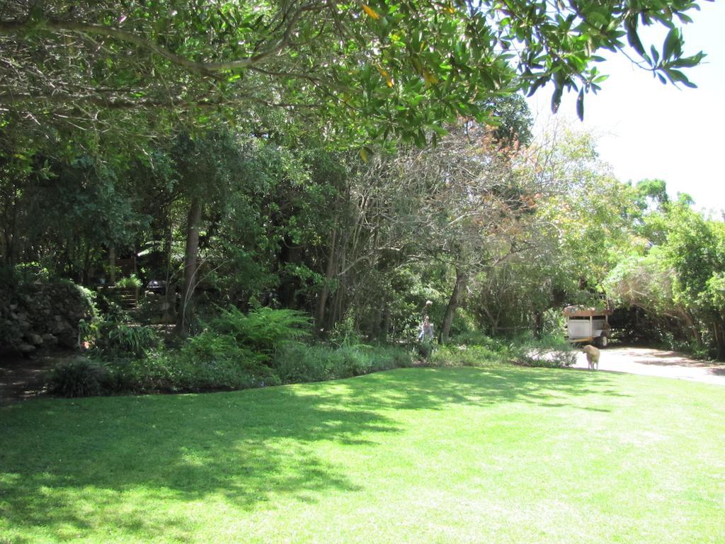 Kingfisher Country House Wildernis Esterno foto