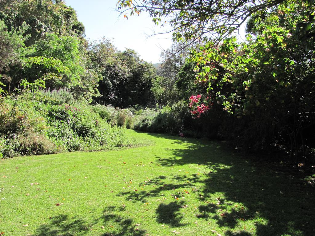 Kingfisher Country House Wildernis Esterno foto